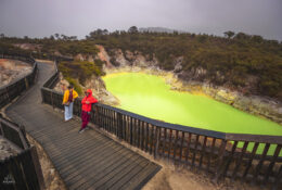 New Zealand 2025 (1 group) (45/66)